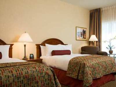 Hilton & Conference Center 3*